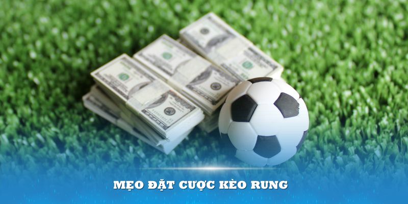 Các mẹo đặt cược kèo rung đỉnh cao