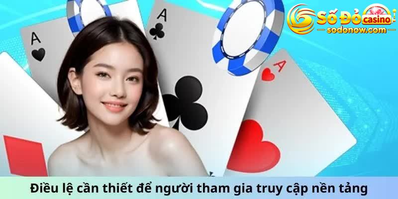 Điều lệ cần thiết để người tham gia truy cập nền tảng