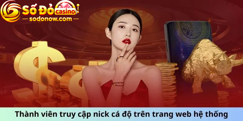 Thành viên truy cập nick cá độ trên trang web hệ thống