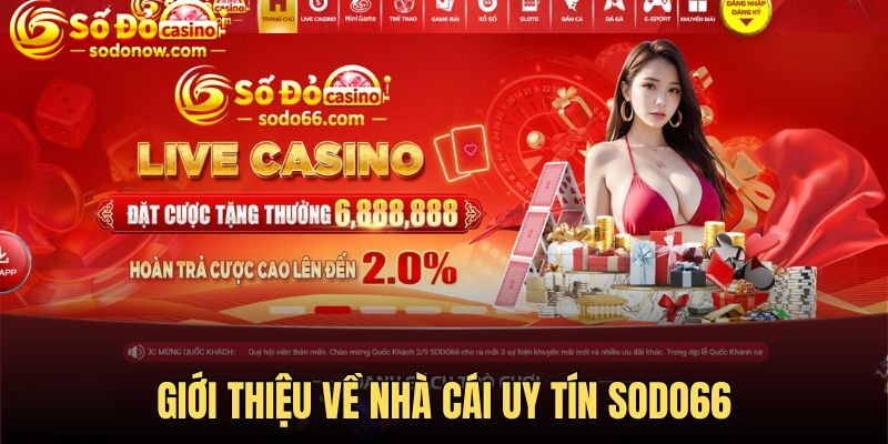 Khám phá về sân chơi trực tuyến hàng đầu Sodo66 